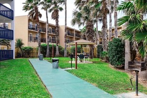 Un pati amb un camí verd, palmeres, una barbacoa i una zona coberta per seure.