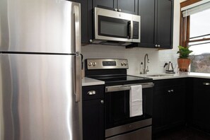 A kitchen with stainless steel appliances, black cabinets, and a window with a plant. - Stay Roanoke | Luxe loft w/city & mountain views (Roanoke)