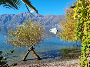 Ein klarer See mit einem Boot, Bergen und einem Baum im Vordergrund.