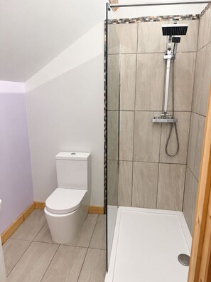Une salle de bain comprenant des toilettes, une douche avec un pommeau de douche amovible et un lavabo blanc.