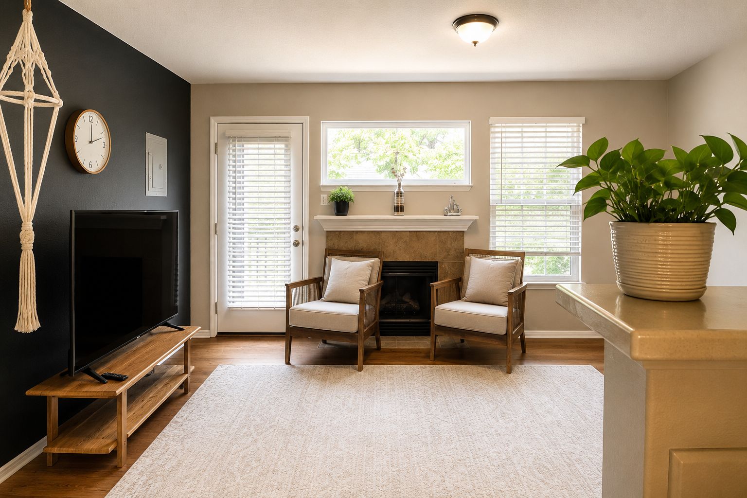 A living room with a fireplace, two armchairs, a TV, and a large potted plant.