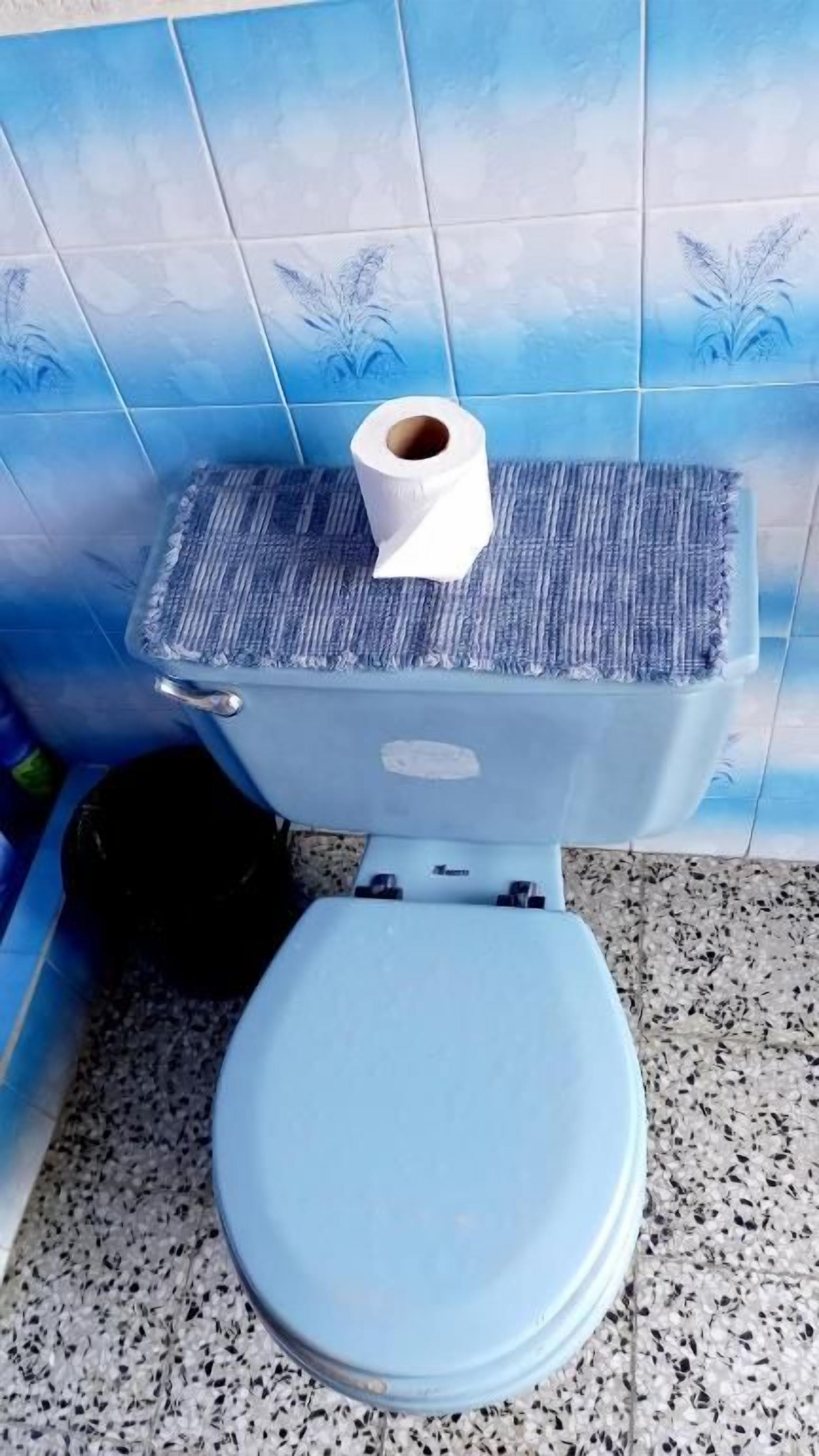 Een toilet met een blauwe zitting en deksel, een rol toiletpapier op de tank, en een blauwe betegelde muur met een plantenmotief.