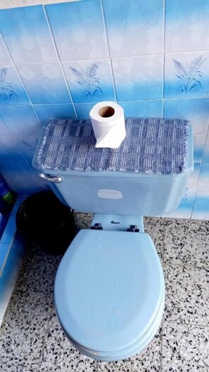 Un inodoro con asiento y tapa azules, un rollo de papel higiénico sobre el tanque y una pared de azulejos azules con un motivo de plantas.