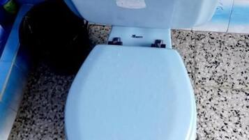 Een toilet met een blauwe zitting en deksel, een rol toiletpapier op de tank, en een blauwe betegelde muur met een plantenmotief.
