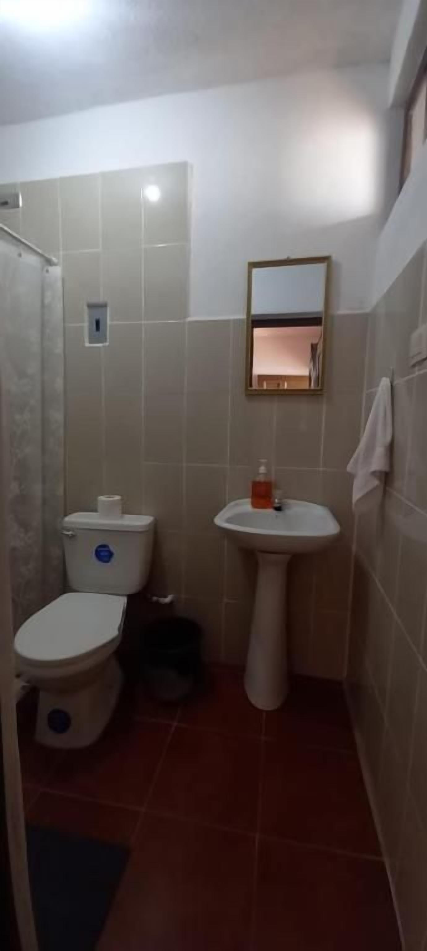 Un baño con inodoro, lavamanos y zona de ducha.