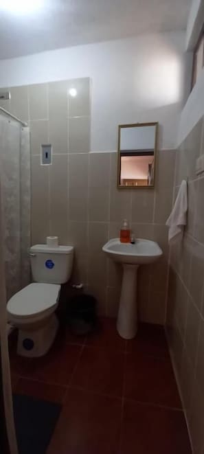 Un bany amb vàter, rentapel i zona de dutxa.