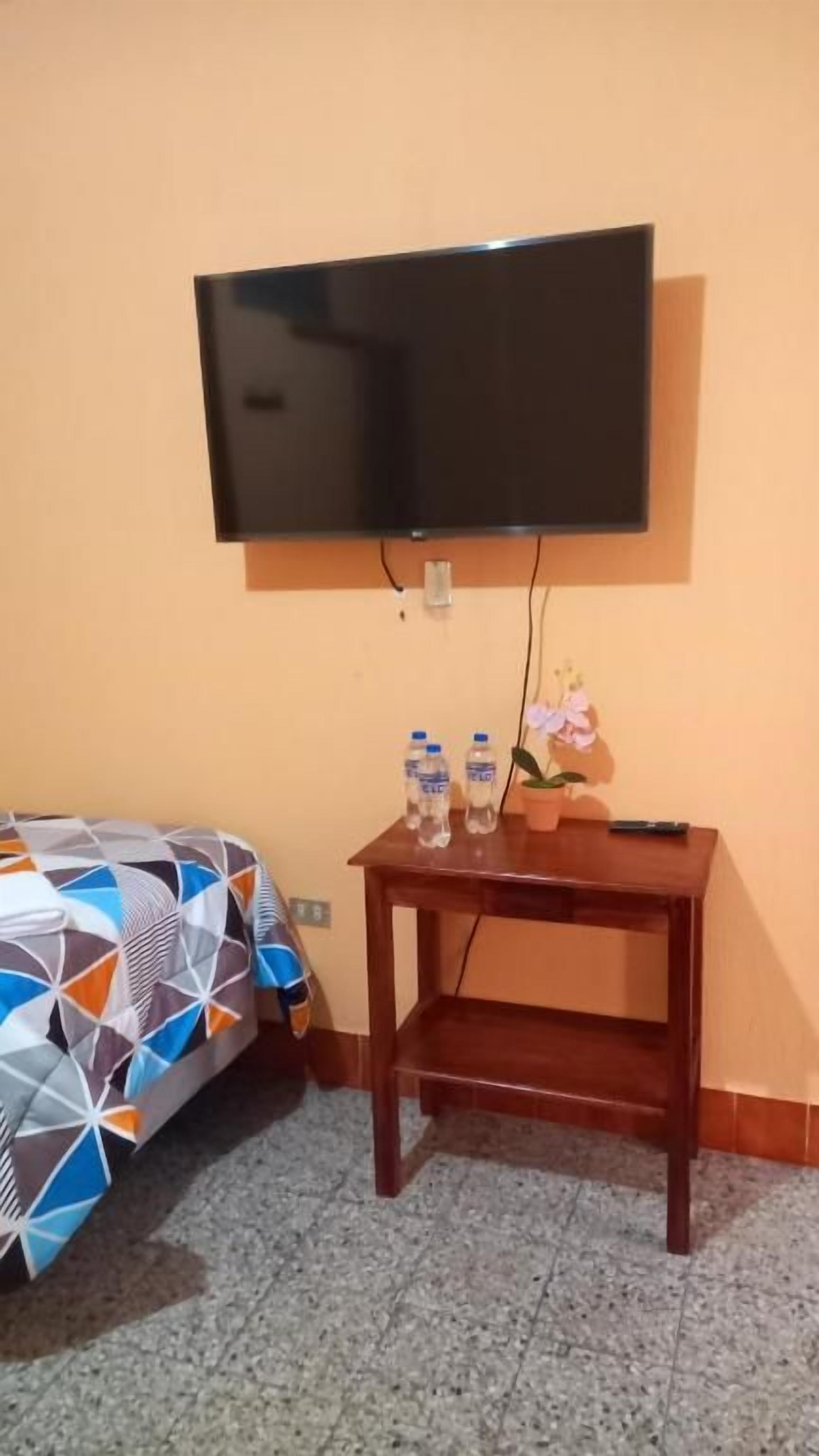 Una habitación con una cama, un televisor instalado en la pared, una mesita de madera con dos botellas y un control remoto, y una planta en maceta.