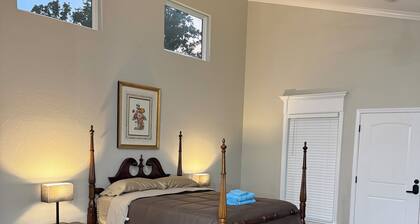 Cozy & Modern Cottage in Pine Bluff