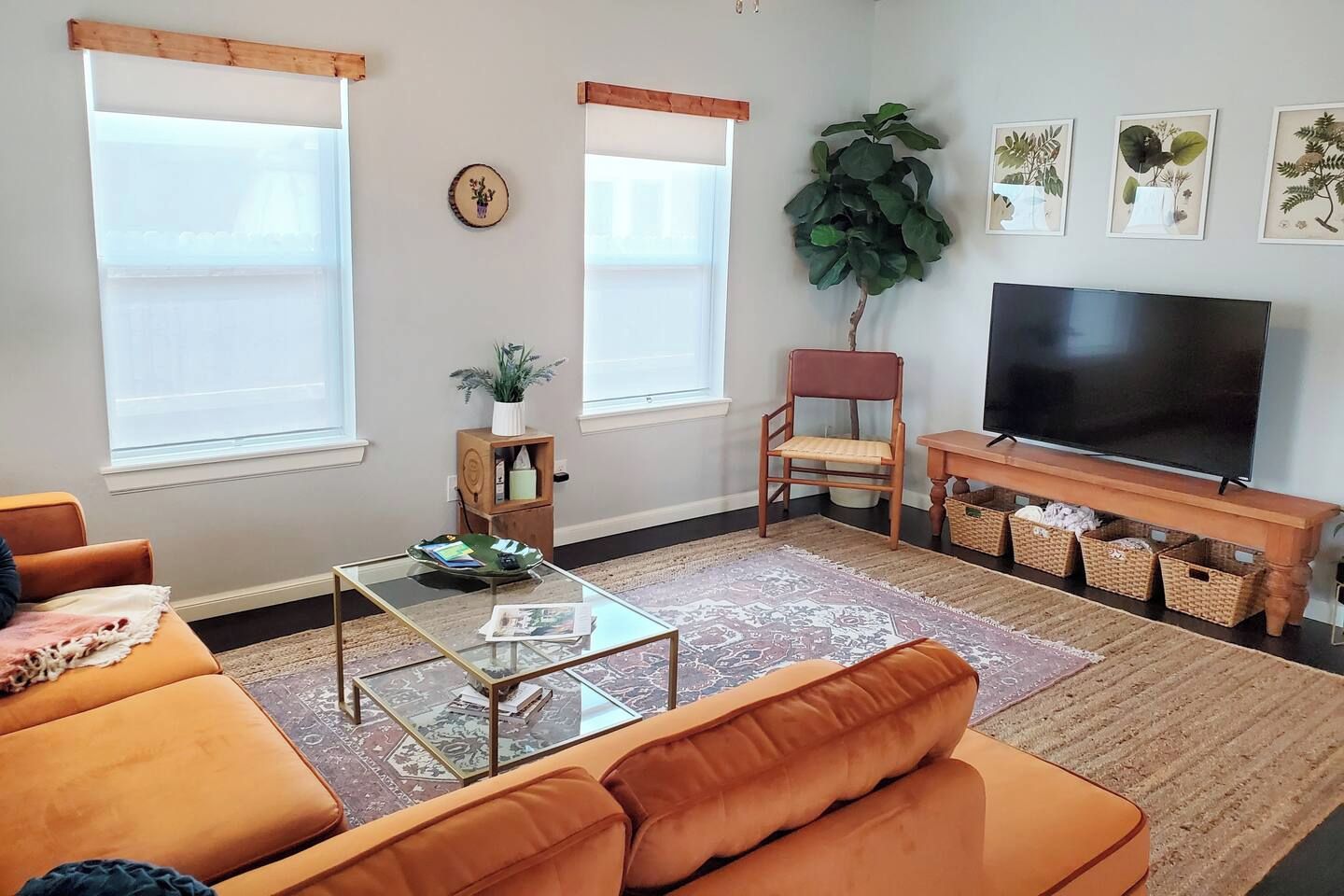 A living room with a sofa, coffee table, TV stand, and a large plant.