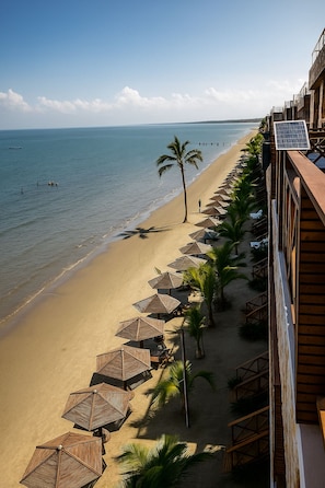 A beach with a row of umbrellas and lounge chairs, a palm tree, and a view of the ocean.