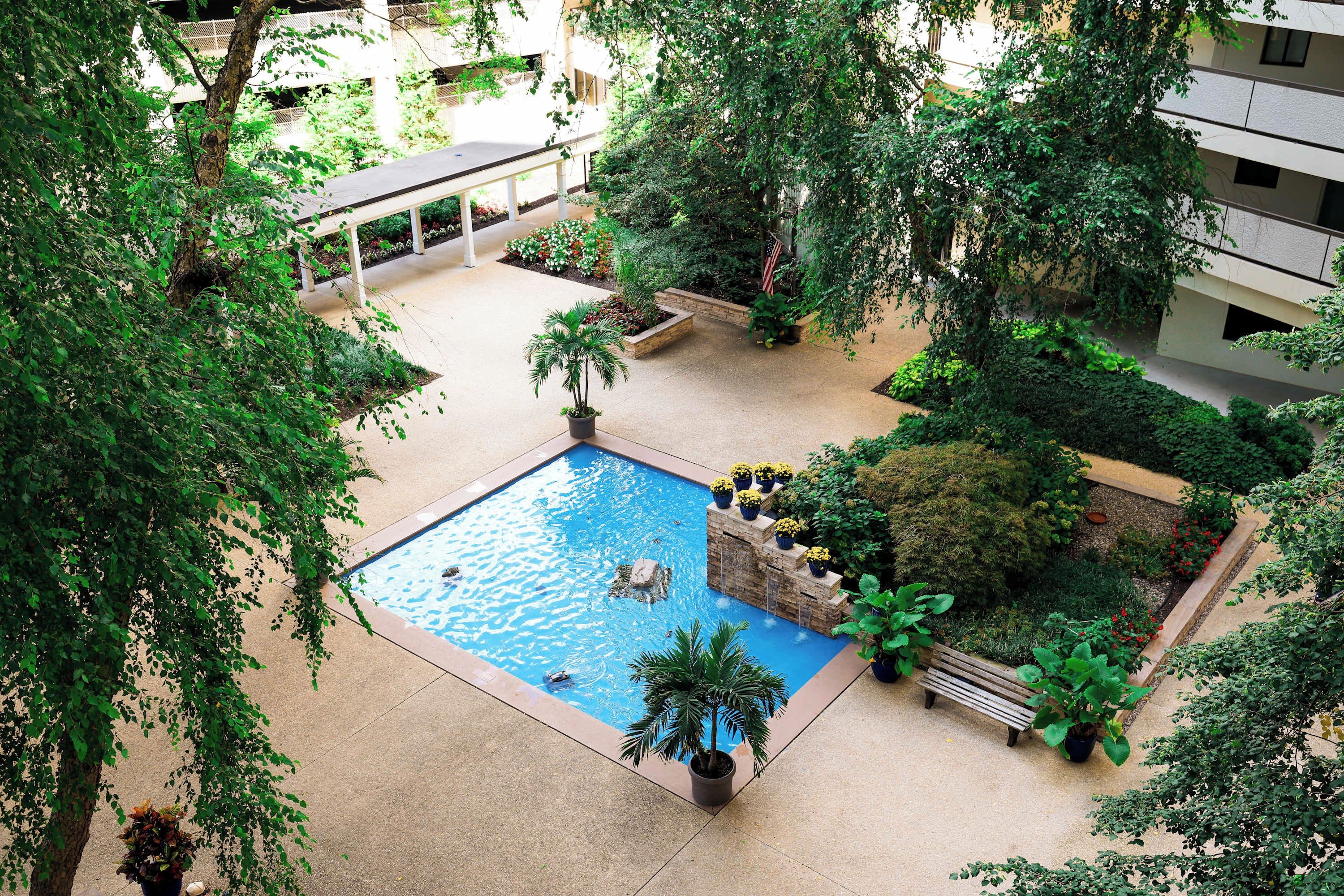 Une piscine sur le toit, entourée de verdure, et un espace salon aménagé sous une pergola.