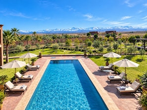 A rectangular swimming pool with lounge chairs and umbrellas, surrounded by a landscaped garden with palm trees and a view of snow-capped mountains.