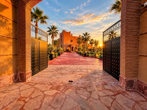 A courtyard with a paved walkway, palm trees, and a building with a traditional architectural style.