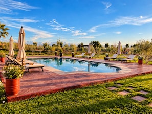 Un área de piscina con sillones de descanso y sombrillas, rodeada de vegetación y un cielo despejado.