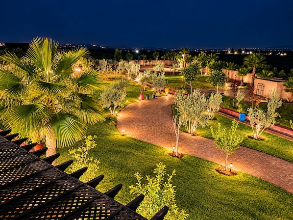 A landscaped outdoor area with pathways, palm trees, and potted plants, illuminated by ambient lighting.