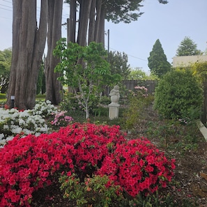 A garden with large trees, a statue, and flowering shrubs. - Welcome to La Maison Leura, a beautiful 3-bedroom garden retreat in the village. (Leura)