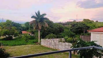 A balcony with a view of a grassy area, a palm tree, and a distant building.