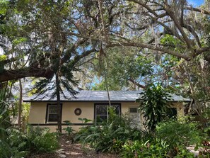 A house surrounded by dense foliage and trees. - Welcoming 2-bedroom house in sunny Sarasota privacy shades 2 blocks LegacyTrail (Sarasota)