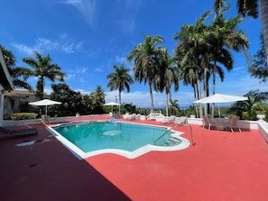 Piscina con sillas de descanso y sombrillas, rodeada de palmeras.
