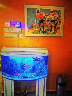Un aquarium avec différents poissons, un panneau indiquant la présence d’une connexion Wi-Fi et un tableau accroché au mur.