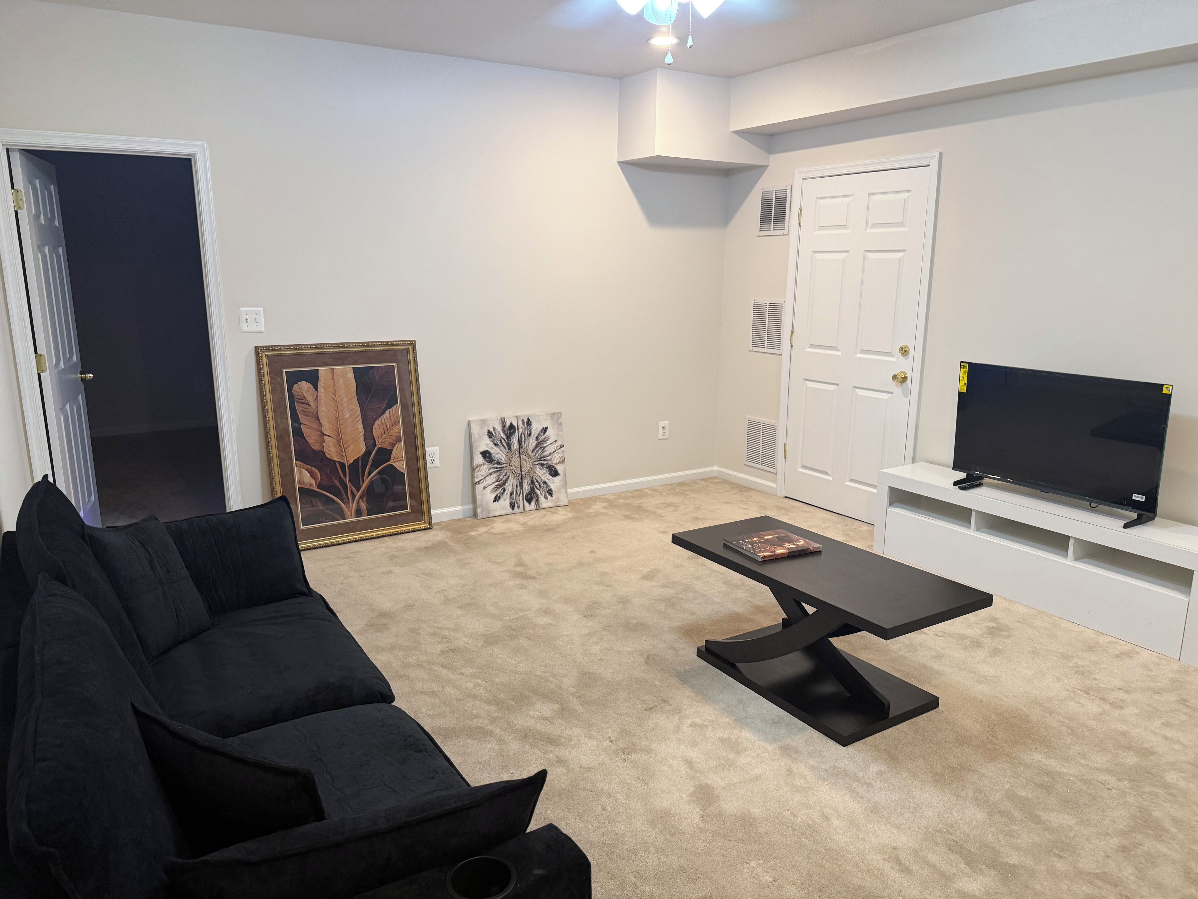 Een woonkamer met een zwarte bank, een salontafel, een ingelijste botanische print, een decoratief kussen en een flatscreen televisie op een standaard.