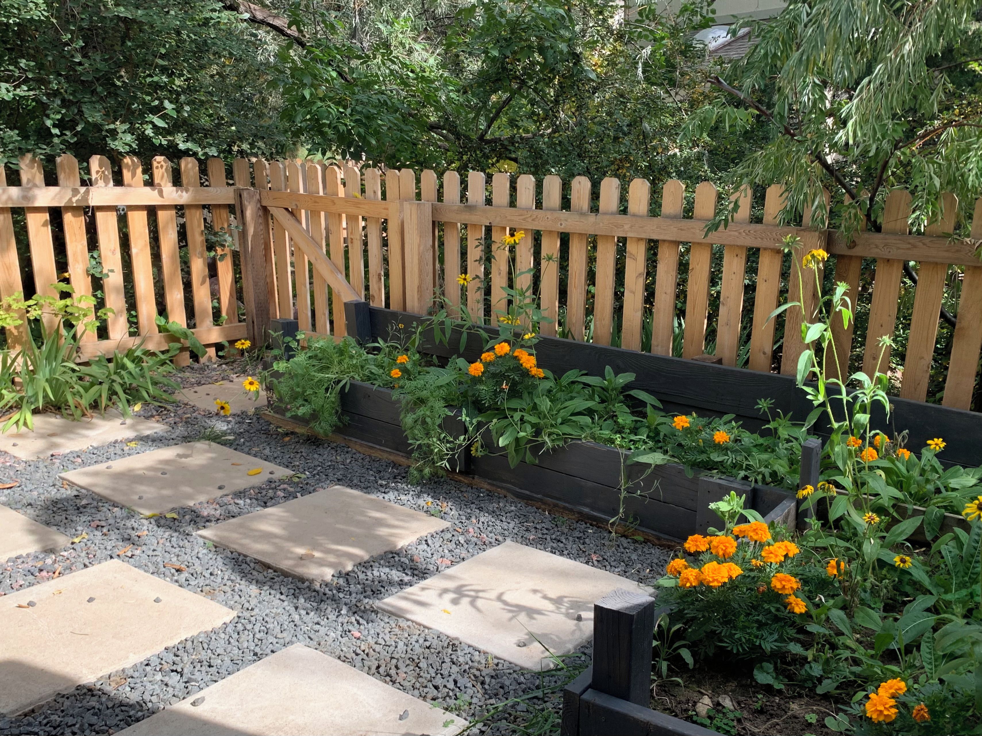 A garden with a wooden fence, stepping stones, and various plants.