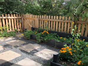 A garden with a wooden fence, stepping stones, and various plants.