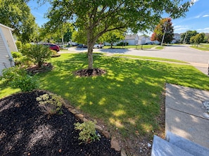 A residential street with a well-maintained lawn, a tree, and parked cars.