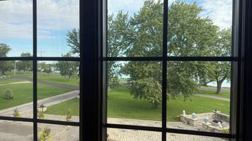 A view through a window with a grid pattern, a paved area with planters, and a grassy field with trees.