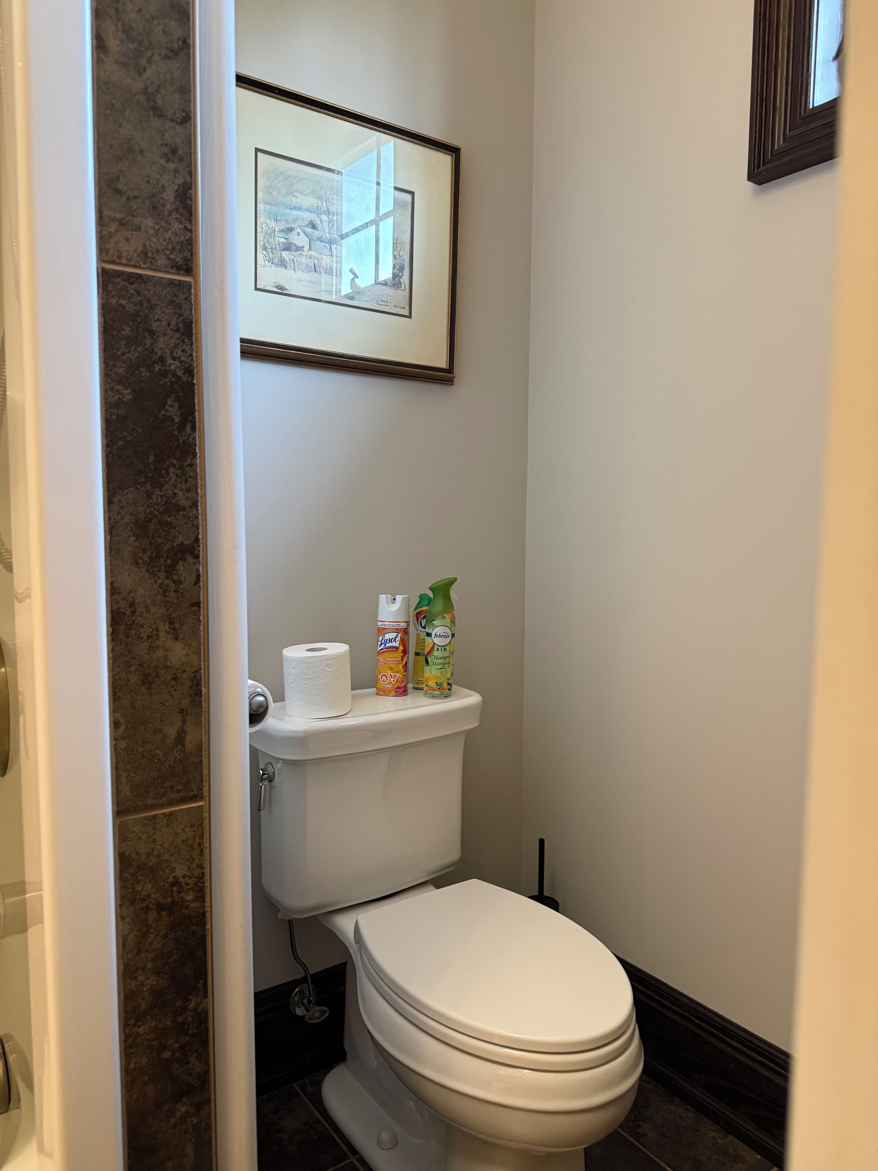 A bathroom with a toilet, a framed picture on the wall, and two toiletry bottles on the tank.