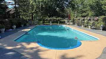 A rectangular swimming pool with a blue edge, surrounded by a concrete deck, potted plants, and a metal fence.