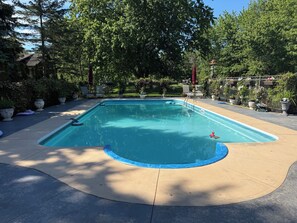 Ein rechteckiger Pool mit blauer Umrandung, umgeben von einer Betonplattform, Blumentöpfen und einem Metallzaun.