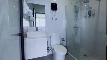 A modern bathroom with a glass shower enclosure, a toilet, and a sink.