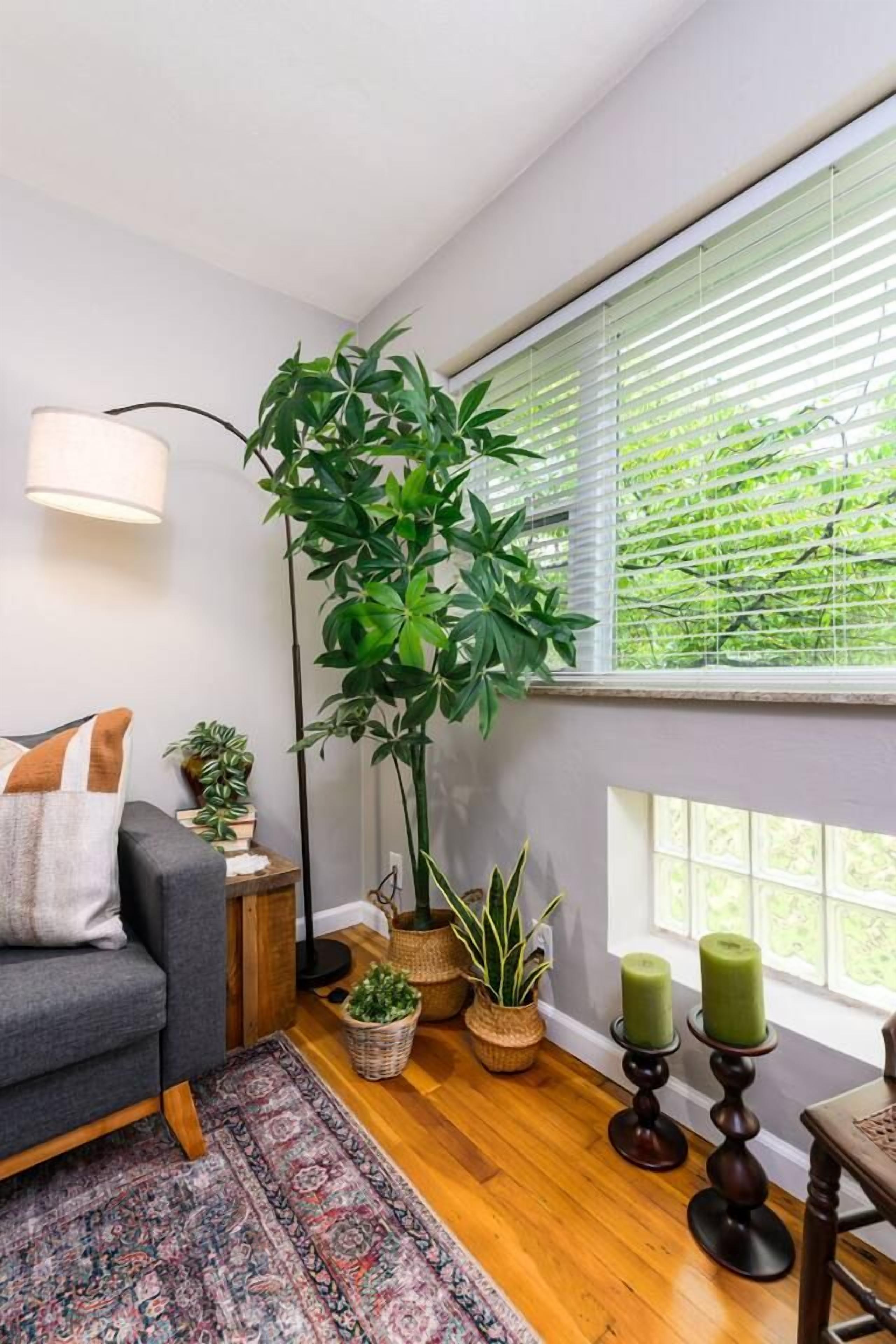 A cozy living room with a grey sofa, a patterned rug, a tall green plant, and a window with blinds.