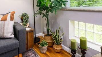 A cozy living room with a grey sofa, a patterned rug, a tall green plant, and a window with blinds.