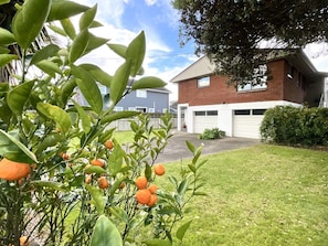 Una propietat residencial amb un jardí ben cuidat, un arbre fruitívol i una casa de maó amb garatge.