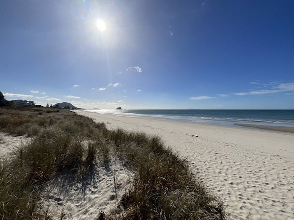 Een strand met zand en gras, een heldere lucht en de zon die schijnt.