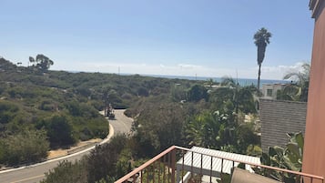 Un balcon offrant une vue sur une route sinueuse qui traverse une zone boisée et mène à la côte.