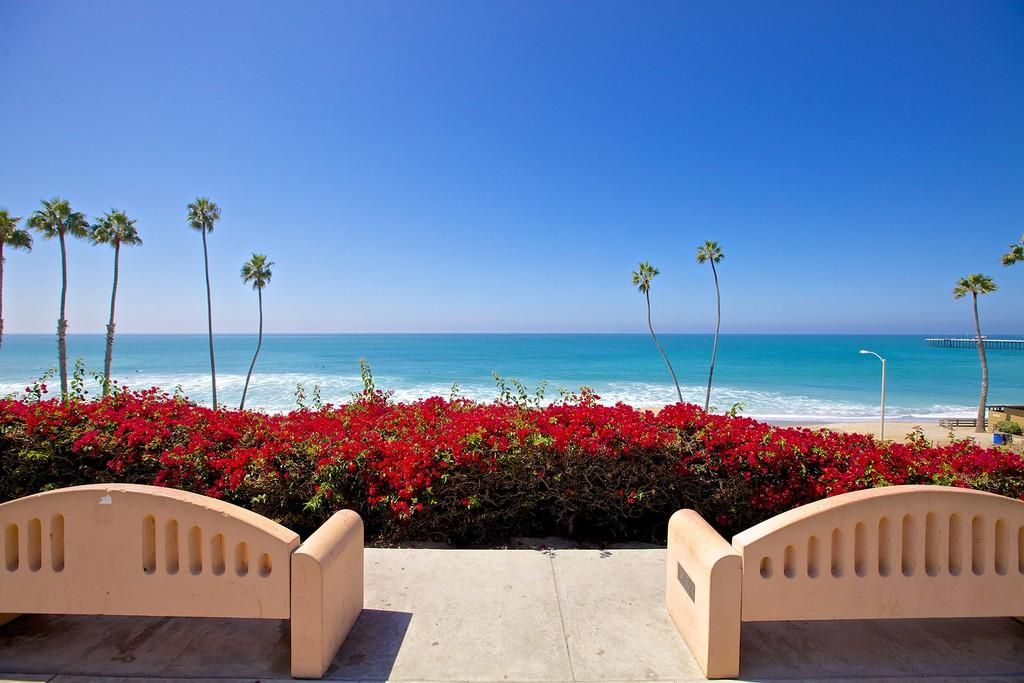 A beach view with palm trees and red flowers, benches facing the ocean.