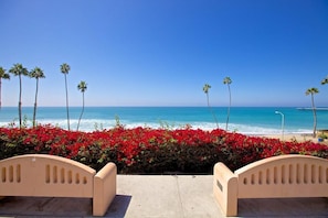 Une vue sur la plage, avec des palmiers et des fleurs rouges, et des bancs donnant sur l’océan.