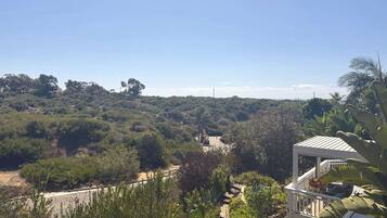 Ein Balkon mit Blick auf eine hügelige Landschaft, einen gepflasterten Weg und ein weißes Gebäude mit Dach.
