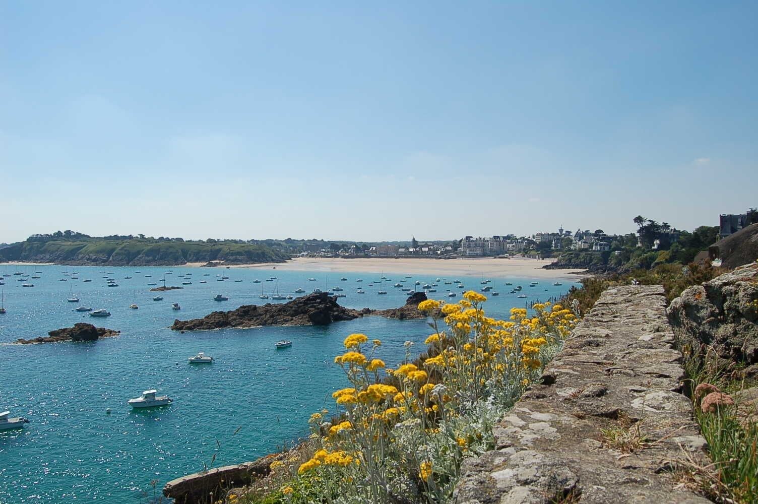 Vista costera con barcos, una playa arenosa y un camino de piedra con flores amarillas.