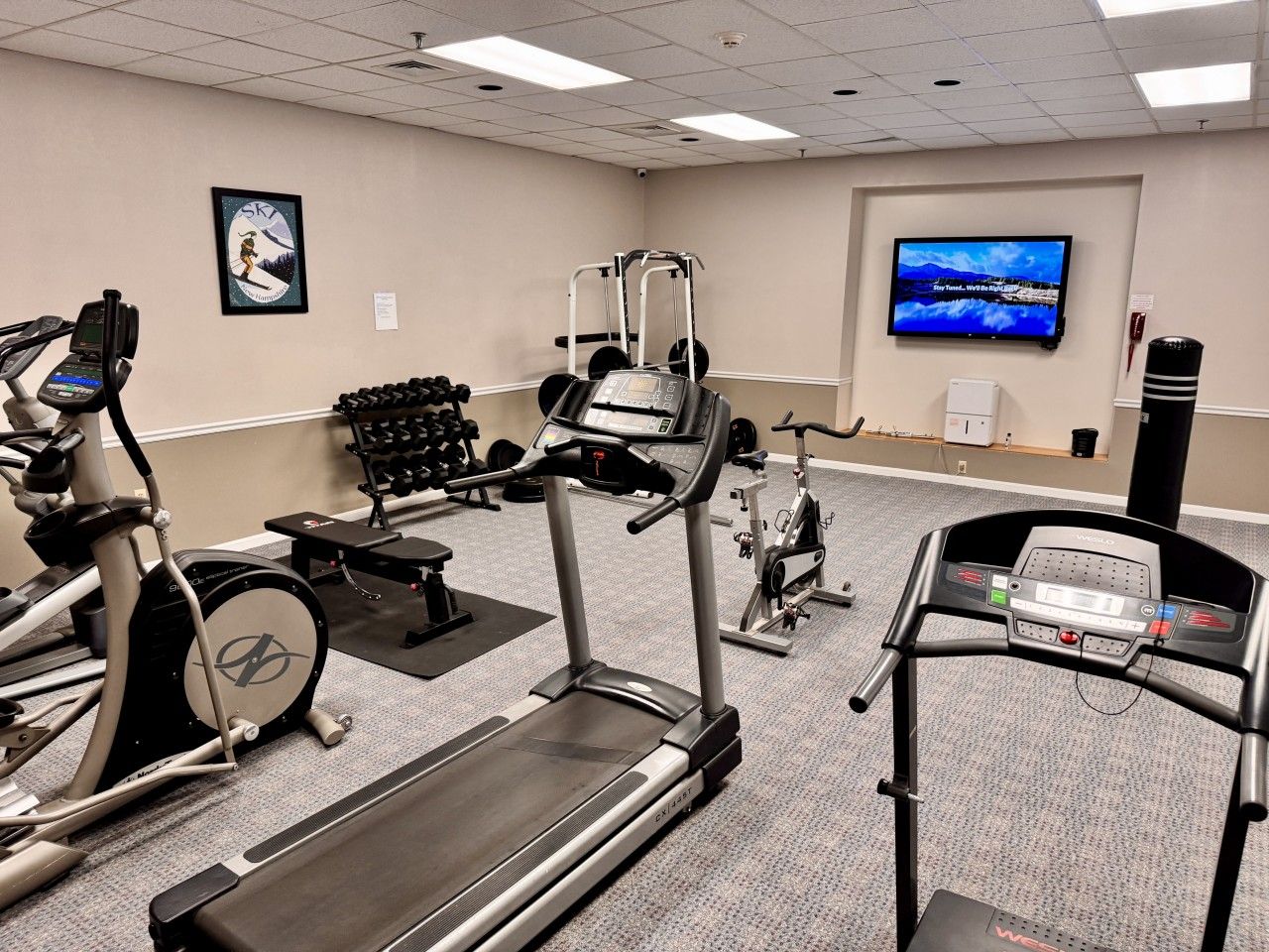 A gym with treadmills, elliptical machines, and weight benches.