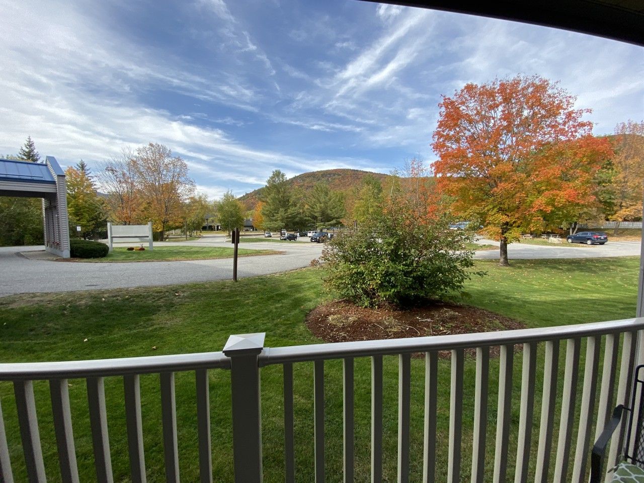 A residential area with a grassy lawn, a small bush, and a clear sky.