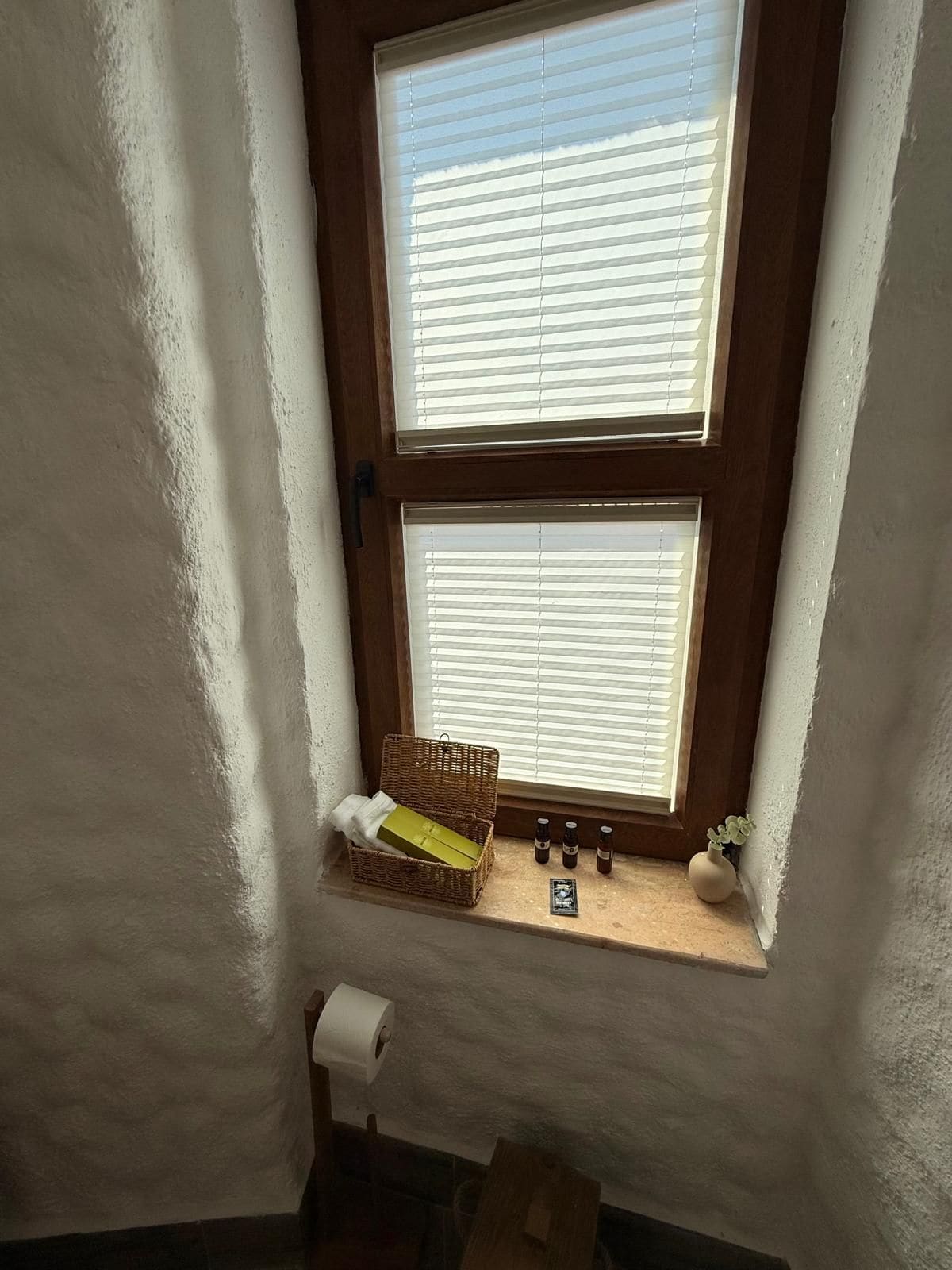 A room with a window, a wicker basket, a roll of toilet paper, and a small plant.