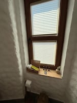 Una habitación con ventana, una cesta de mimbre, un rollo de papel higiénico y una planta pequeña.