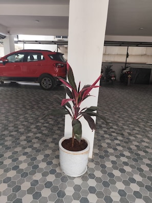 A potted plant in a white pot, a red car, and a tiled floor with a hexagonal pattern. - Orion Signature Hotel (Hyderabad)