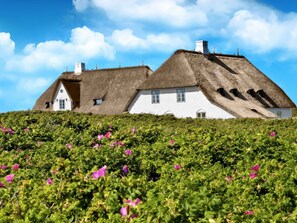 A thatched-roof house with multiple windows and a garden with pink flowers. - Holiday Apartment With 1 Bedroom (Kampen)