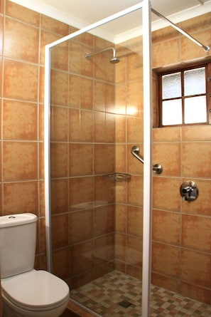 A shower enclosure with a glass door, a toilet, and a window above the shower. - Riverbend Chalets (Drakensberg Gardens)