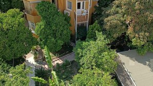 Un edificio de varios pisos con techo plano, rodeado de vegetación.